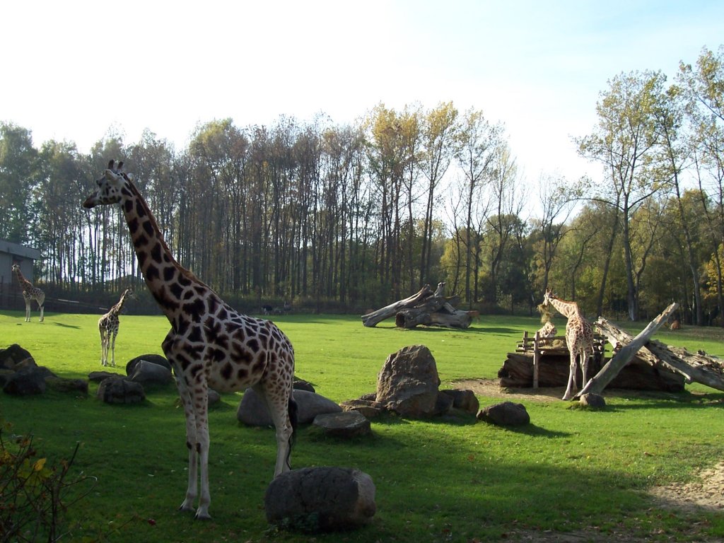 Ostrava Zoo